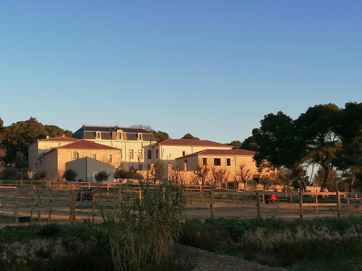 Vakantiehuis Domaine De La Vidalle
