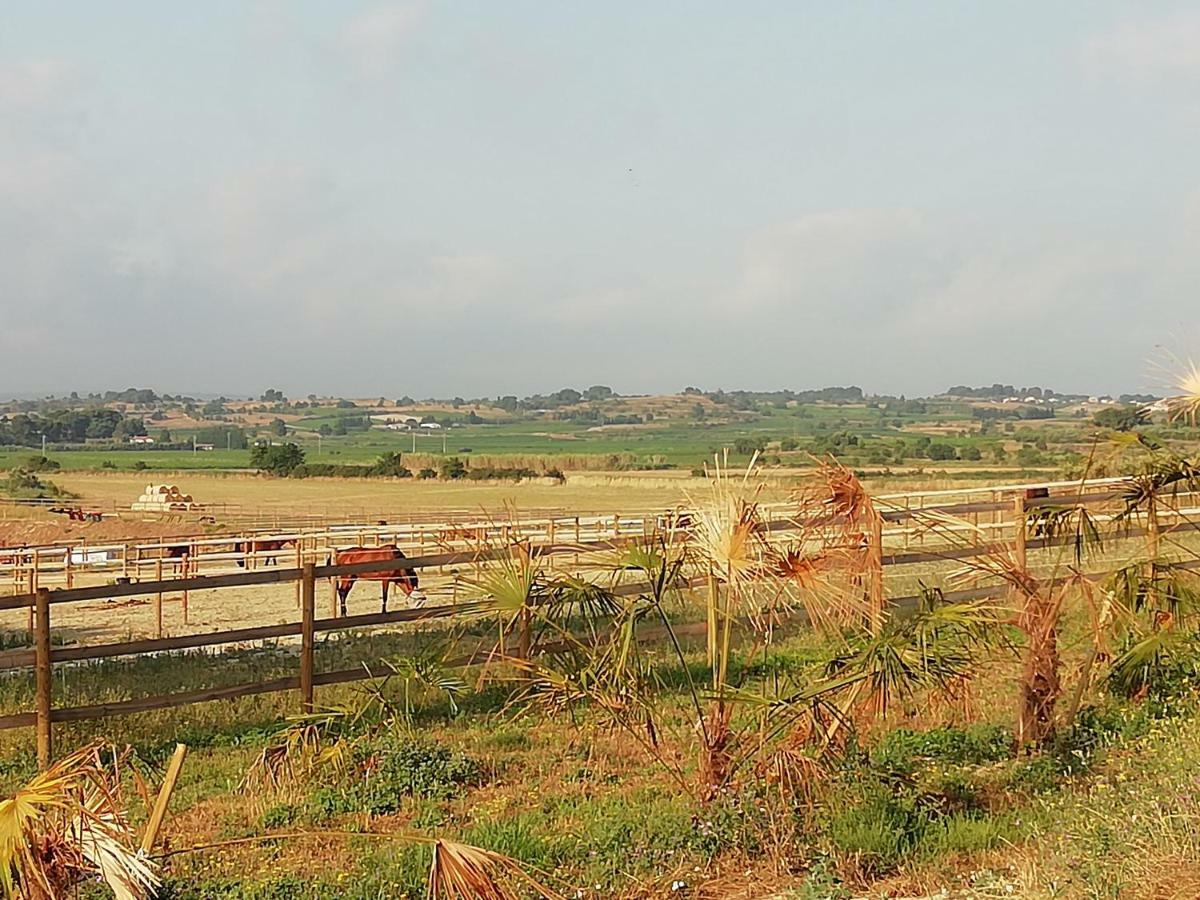 Domaine De La Vidalle Vakantiehuis Vendres